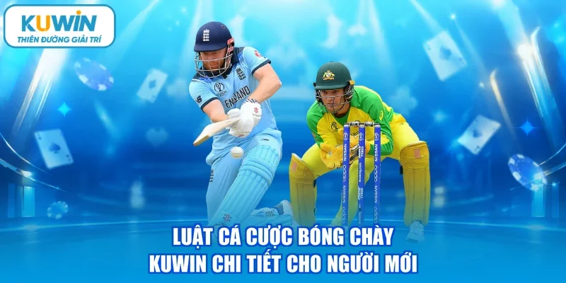 Luật cá cược bóng chày